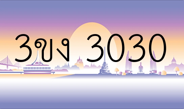 3ขง 3030